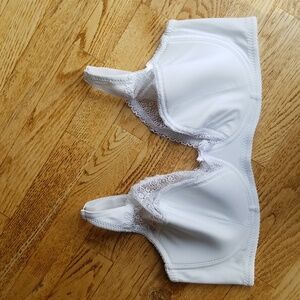 (85F EU) Neutral Contemporary Classic Minimalist Modest Lace Embroidered